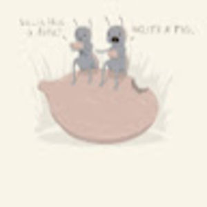 Meet your Posher, Rachel